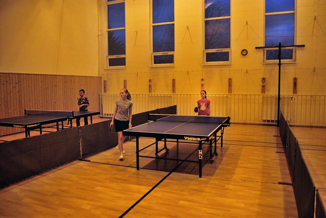 Pingpong 2014_02