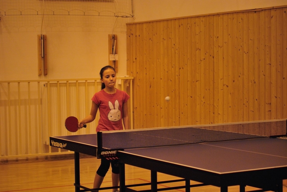 Pingpong 2014_13