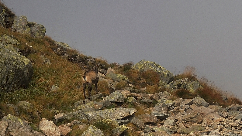 Tatry 2015 09