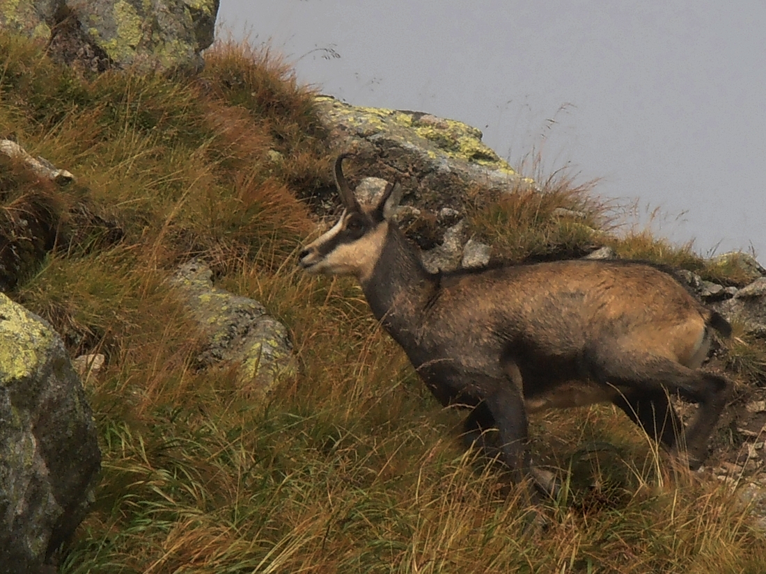 Tatry 2015 10