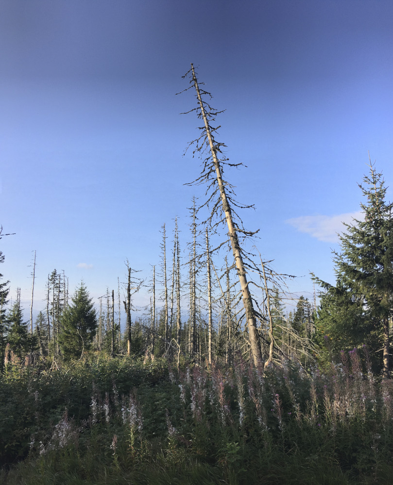 Tatry 2017 072