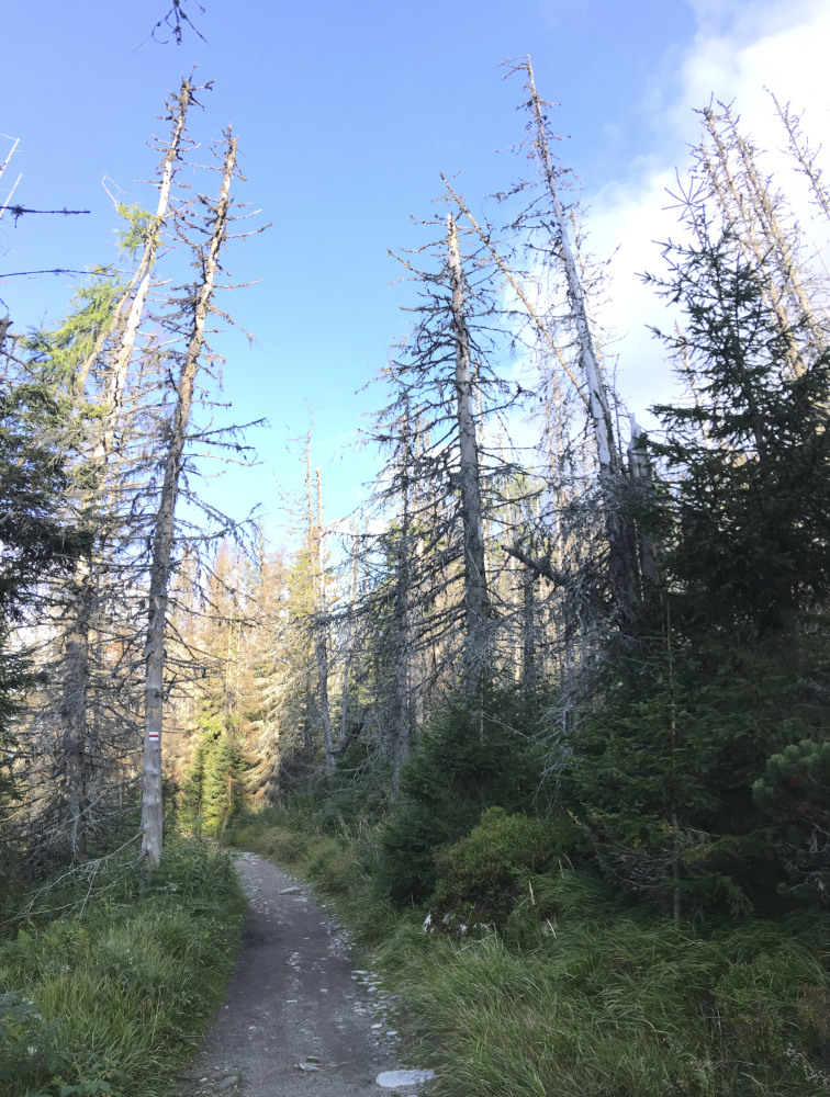 Tatry 2017 075